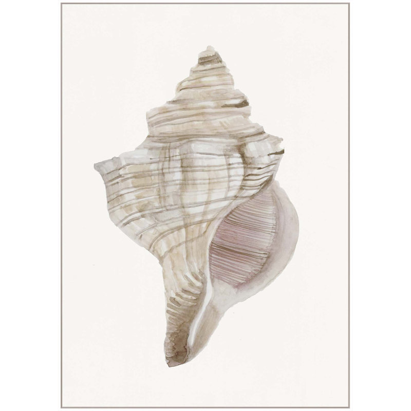 Sea Shell 12 Print, 61" H x 44" W, White Floater Framed