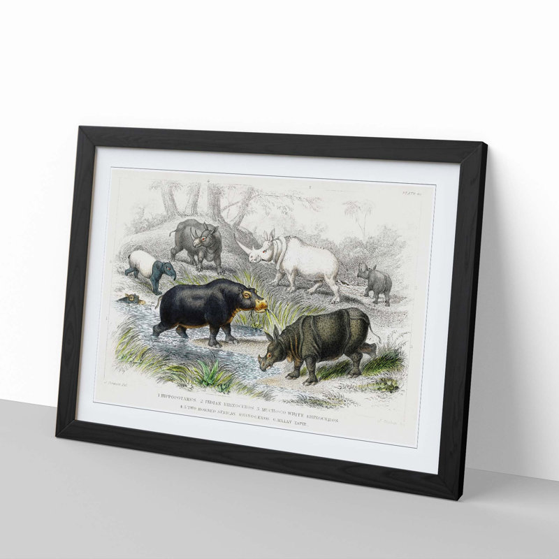 Hippopotamus and Rhinoceros by Oliver Goldsmith - Picture Frame Painting Print, 27cm H x 36cm W x 2cm D, Black Framed
