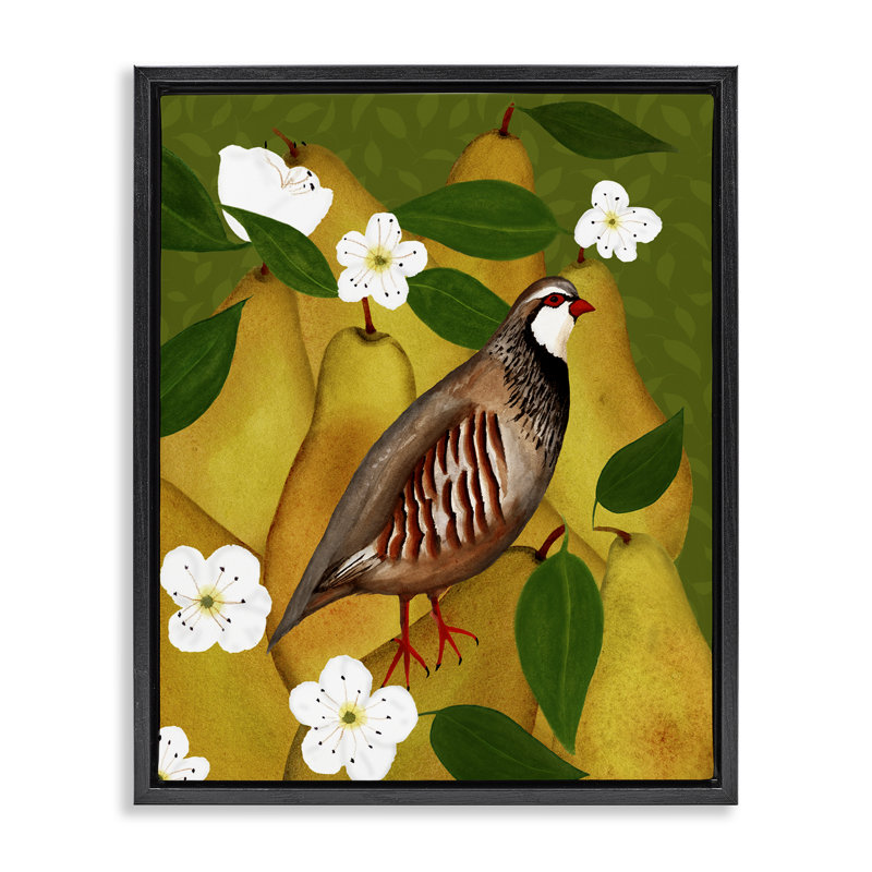  «Partridge Bird & Pears», art mural sur toile par Michelle Ingari Designs, H 31 po x l 25 po, Cadre flottant noir de jais