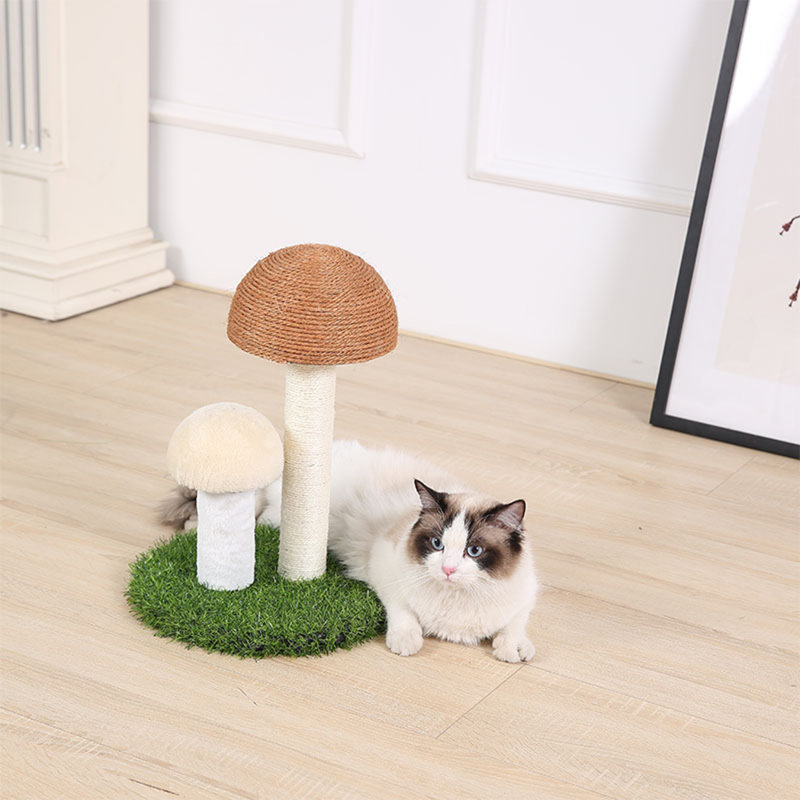 Adda Scratching Post