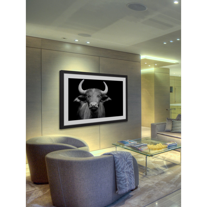 « cow stare », reproduction de photo sur papier encadrée, H 12 po x l 18 po x P 1,5 po, Blanc