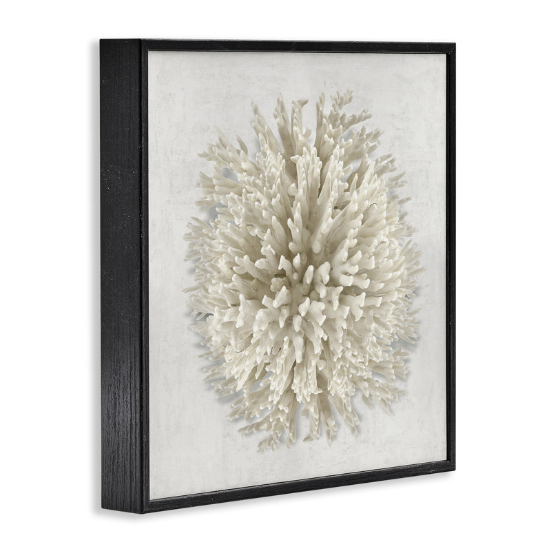 Giclée naturelle ronde corail, design par Caroline Kelly, Giclée encadrée noir minuit, H 24 po x l 24 po
