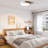 Demeshia LED Flush Mount-108229297-115004398