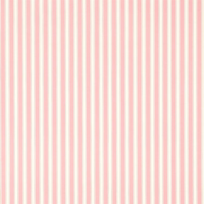 New Tiger Stripe Wallpaper