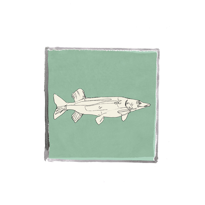 Block Print Fish IV by Cartissi - Wrapped Canvas Print, 30cm H x 30cm W