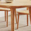 Momeyer-219451701-219451702
