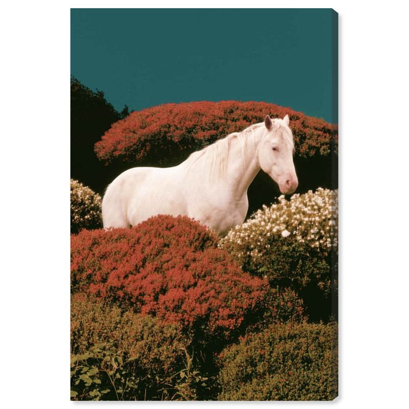 The Prince Print by Oliver Gal, 10"H x 15"W, Gallery Wrapped