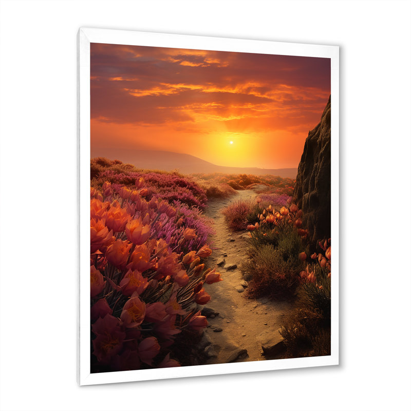 Succulent Sunset Field, Texas, H 32 po x l 24 po x P 1 po, Cadre simple blanc