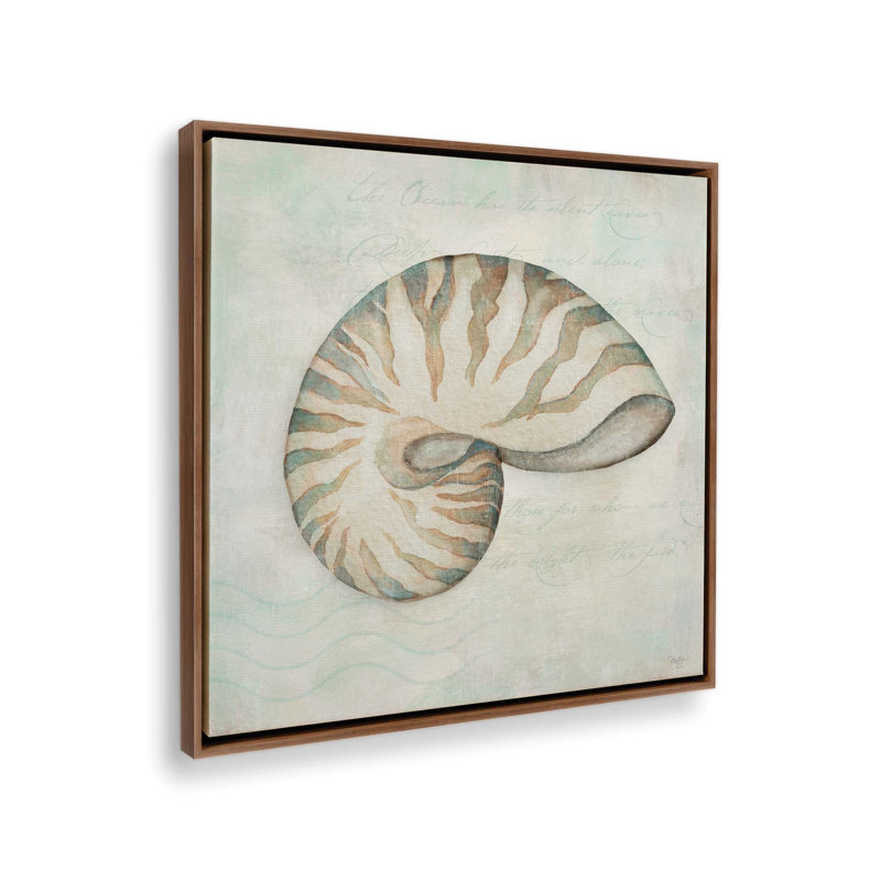 Estampe « Coquillages IV » de Mollie B., L 12 po x H 12 po, Brun, Framed Canvas