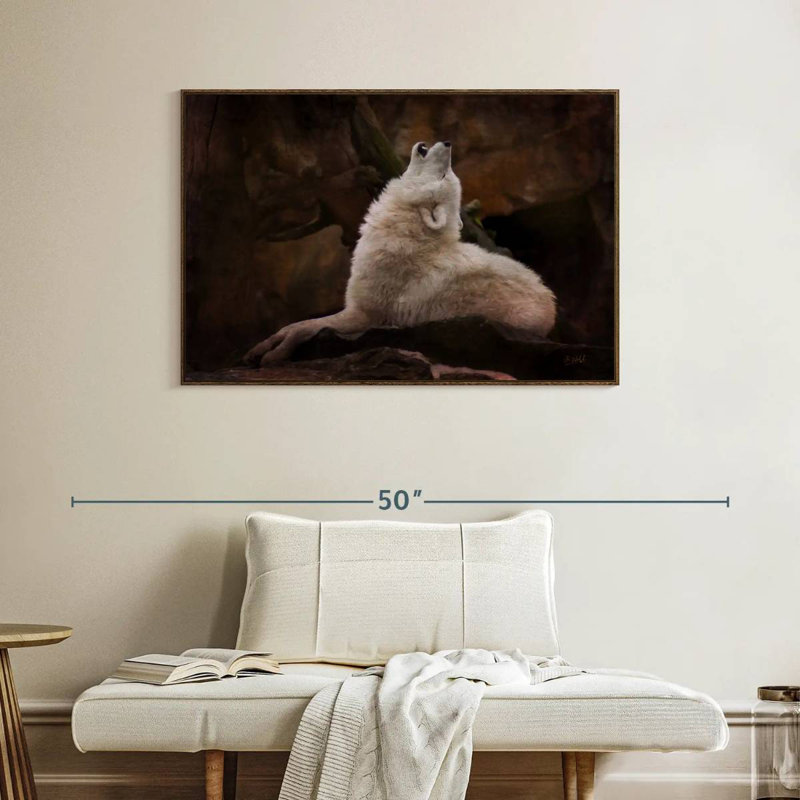 Loup blanc, Cadre flottant en noyer, 40 po x 27 po