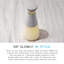 Carafe en verre avec couvercle