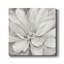 Simplement doux - reproduction d'art sur toile tendue-1441375725