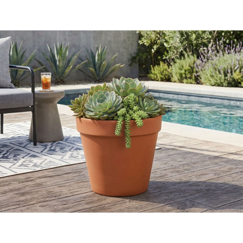 Grand pot Deroma standard - naturel (l 21 po x H 15 po) terre cuite - intérieur extérieur