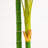 96" Artificial Cane Palm Tree in Pot