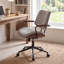 Baliaa Task Chair-1770657016