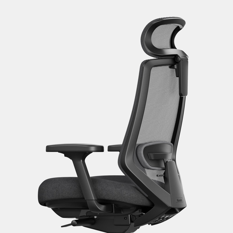 Ergonomic Chair Pro, Black, Black