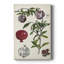 «Pomegranate Composition I», peinture sur toile tendue-2059678445