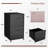 2 Drawer Rolling File Cabinet on Wheels, Black Mobile Two Drawer Filing Cabinet with Lock, Small Files Cabinets for Under Desk, Metal Filing Cabinets for Letter Size Folders-1479775427