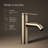 Components Single-Handle Bathroom Sink Faucet-96096566