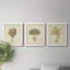 Écru corail X - ensemble de 3 peintures sur toile encadrées-143796230-143796225