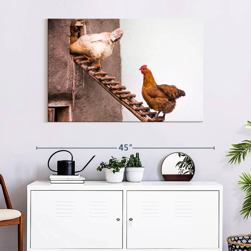Brampt Chicken Coop, 26" H x 39" W