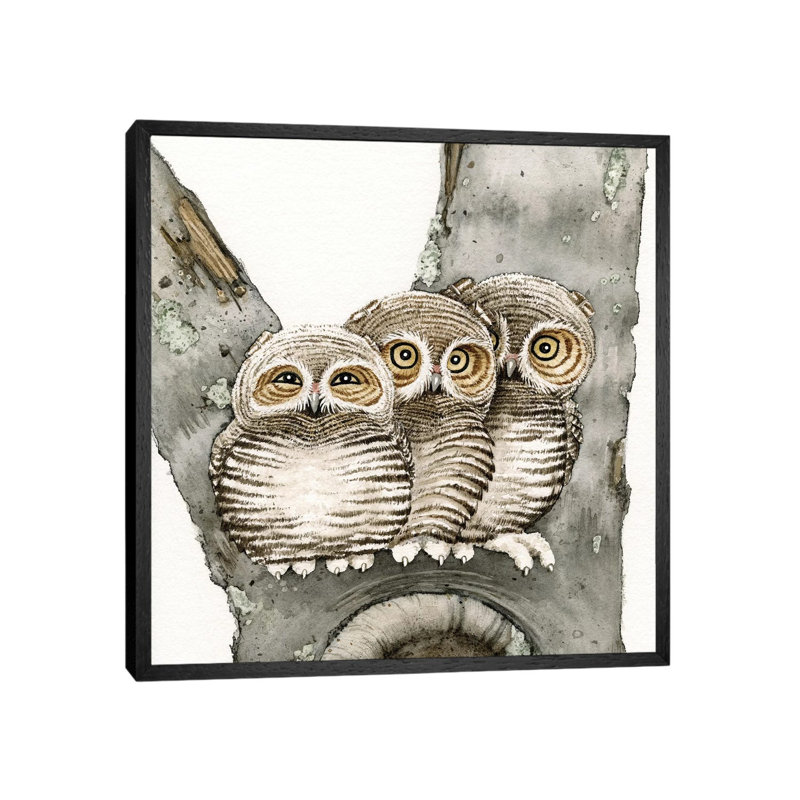 Three Owls 1 Piece Painting on Canvas, 93.98cm H x 93.98cm W x 3.81cm D, Black Framed