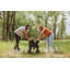 Chariot pliable tout-terrain Wilderness-99312994