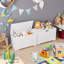 Merritt Toy Box-1148196963