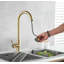 Fairmont Park Nerbone Pull Out Kitchen Faucet