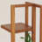 Teak Wood Shelf with Smooth Finish and Curved Edge