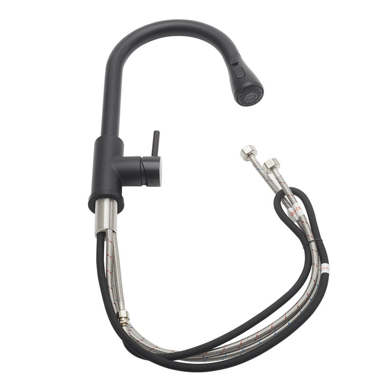 Belfry Kitchen Jace Pull Down Kitchen Faucet