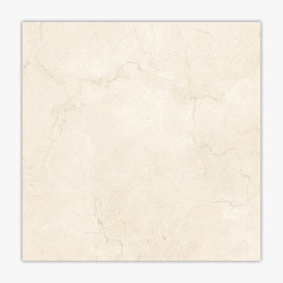 24" x 24" Porcelain Stone Look Wall & Floor Tile
