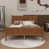 Light Walnut