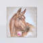 Horse With Rose by Debi Coules - Painting on Canvas-29382810-56731356