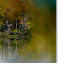 «Abstract Summer Lake» par Vidur, impression sur toile tendue-22068136