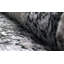 Tapis intérieur lavable 100% nylon Eldwin Myles-31011403