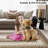 Brisseida Washable Geometric Indoor Rug-980169777