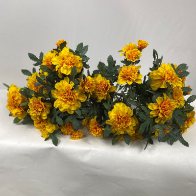 Marigold Bush