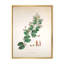 «Vintage Botanicals XIII», peinture sur toile-59815114-59815120