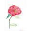 Everything Flower Print