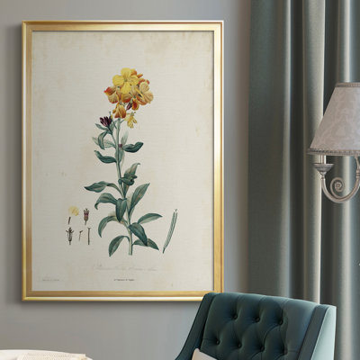 Toile encadrée de qualité supérieure Traditional Botanical III - prête à être accrochée