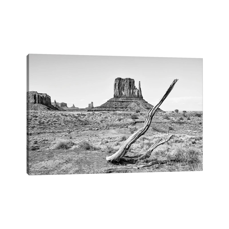Dry Tree by Philippe Hugonnard - Wrapped Canvas Print, 20.32 cm H x 30.48 cm W