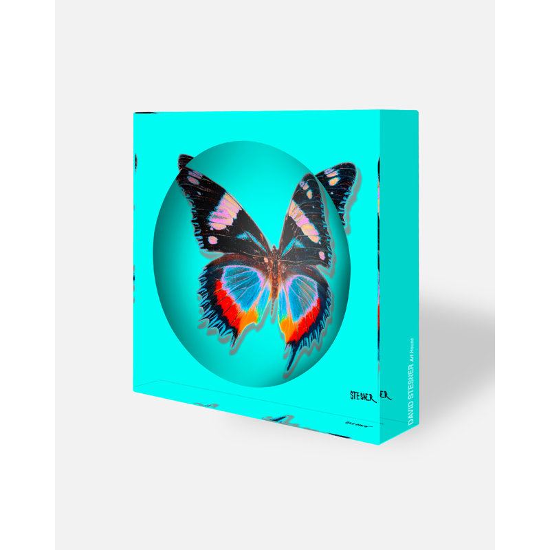 Vol turquoise