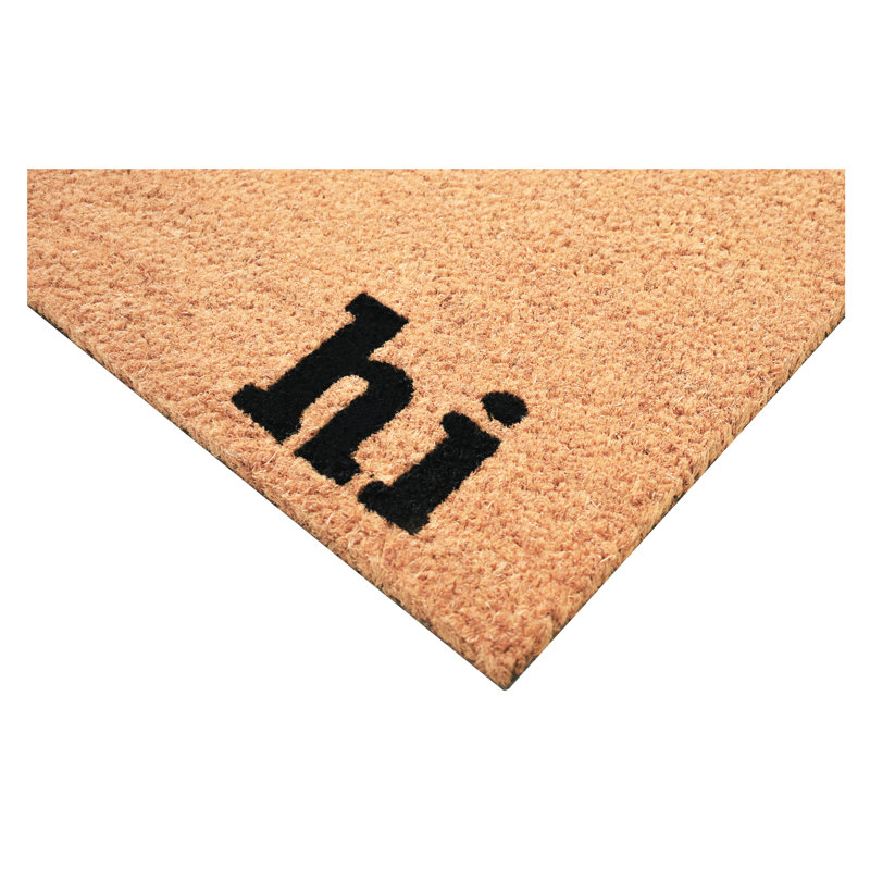 Tapis d'entrée antidérapant Hi Bye 29 po x 17 po, L 36 po x L 72 po
