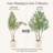 105" H Artificial Olive Tree with 18" W White Planter