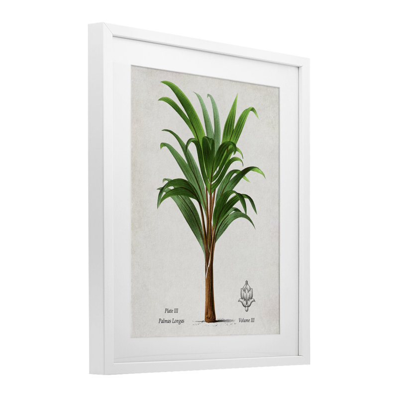 Palmier feuille de bananier rétro, impression sous verre, design par Val Rhodes, H 16 po x l 13 po, Cadre blanc côtier