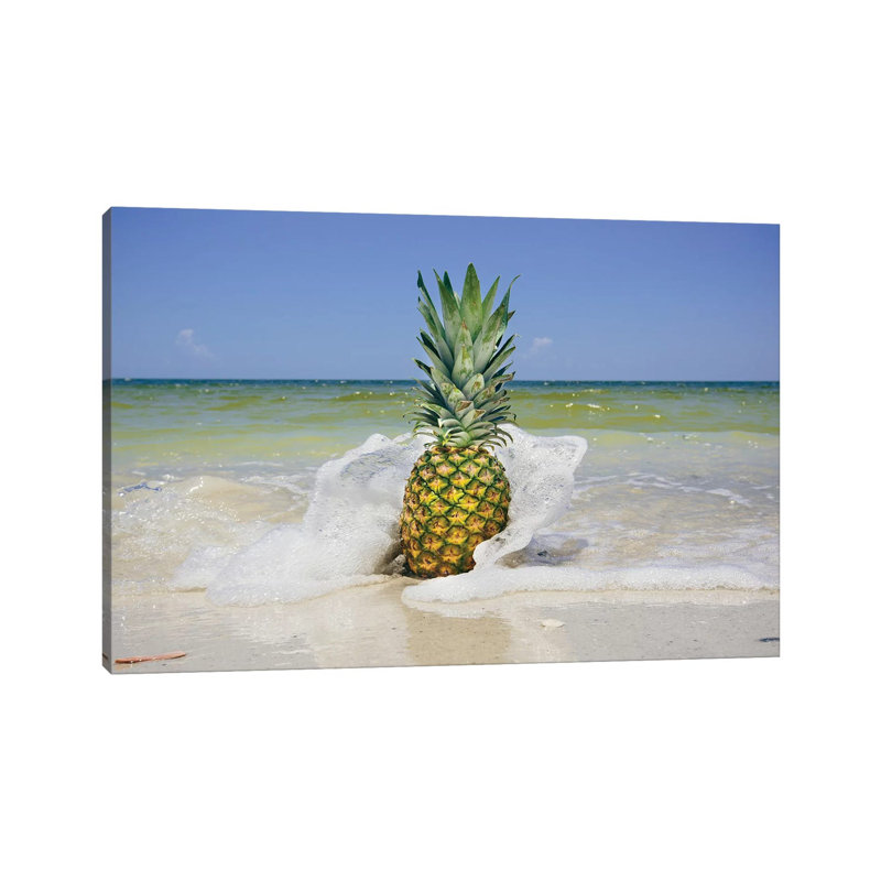 South Florida Pineapple IV by Adam Mead - Wrapped Canvas Print, 20.32 cm H x 30.48 cm W