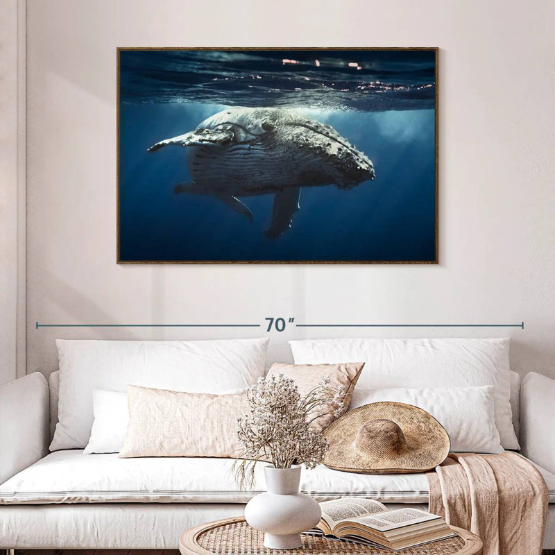 Baleine écumante, 46 po x 31 po, Cadre flottant noyer