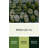Fruit Soursop Beige Canvas Wall Art-2146032413