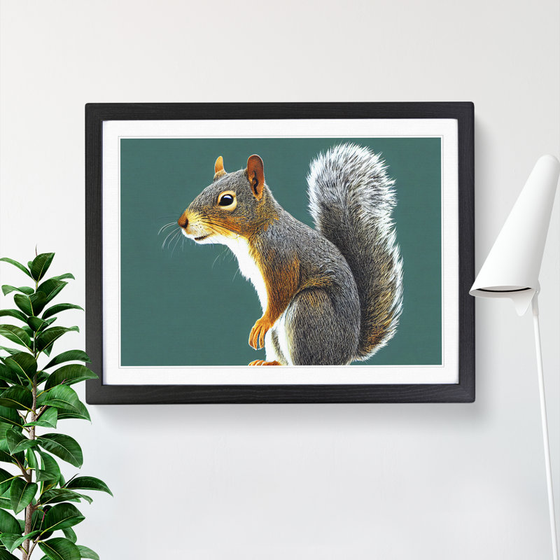 A Tantalising Squirrel - Framed Print, 34cm H x 46cm W x 2cm D, Black